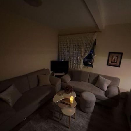 טיראנה Quiet, Cozy, Luminous Apartment מראה חיצוני תמונה