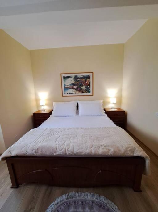 טיראנה Quiet, Cozy, Luminous Apartment מראה חיצוני תמונה