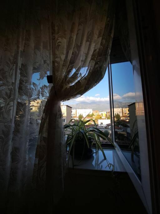 טיראנה Quiet, Cozy, Luminous Apartment מראה חיצוני תמונה